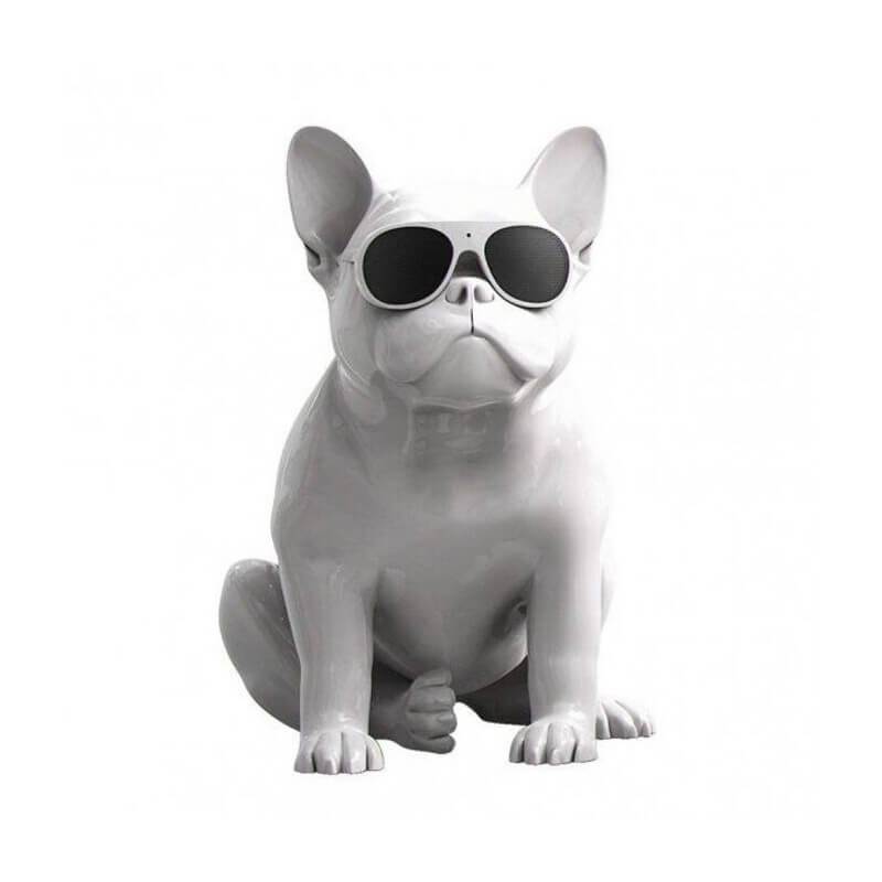 Jarre Aerobull Xs1 | doctorfrikistein.com